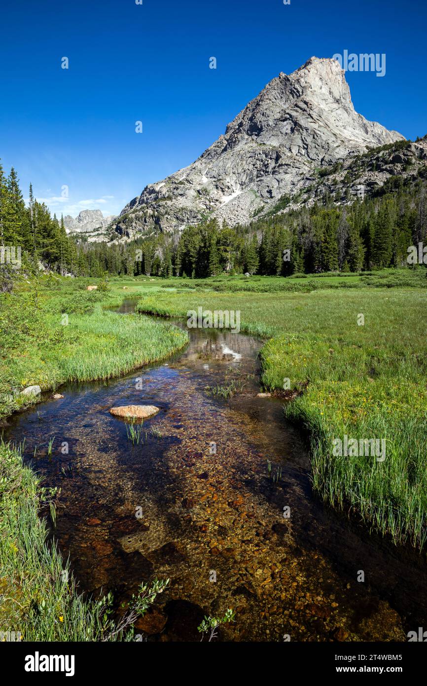WY05564-00...WYOMING - North Fork Popo Agie Creek in the Popo Agie Wilderness section of the Wind River Range. Stock Photo