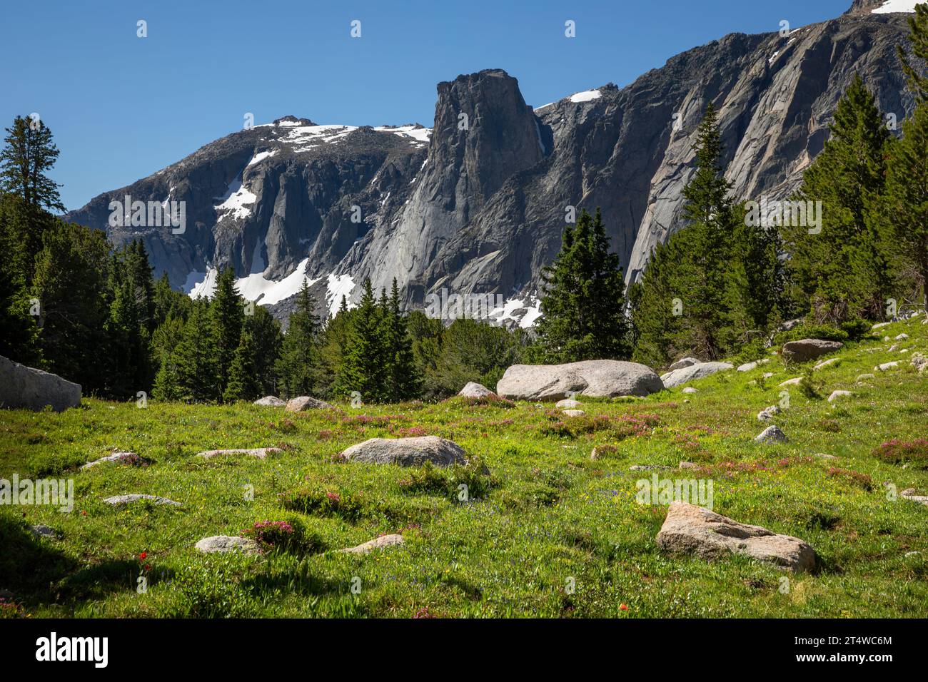 WY05568-00...WYOMING - The Monolith viewed from Bear Lakes in the Agie Popo Wilderness area in the Wind River Range. Stock Photo