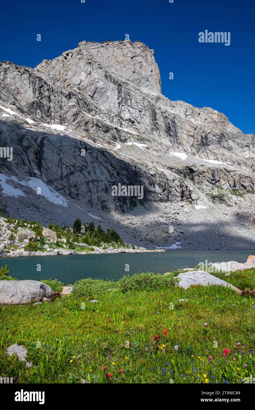 WY05569-00...WYOMING - Meadow along the shore of Upper Bear Lake at the edge of Lizard Head Peak in the Popo Agie Wilderness area. Stock Photo