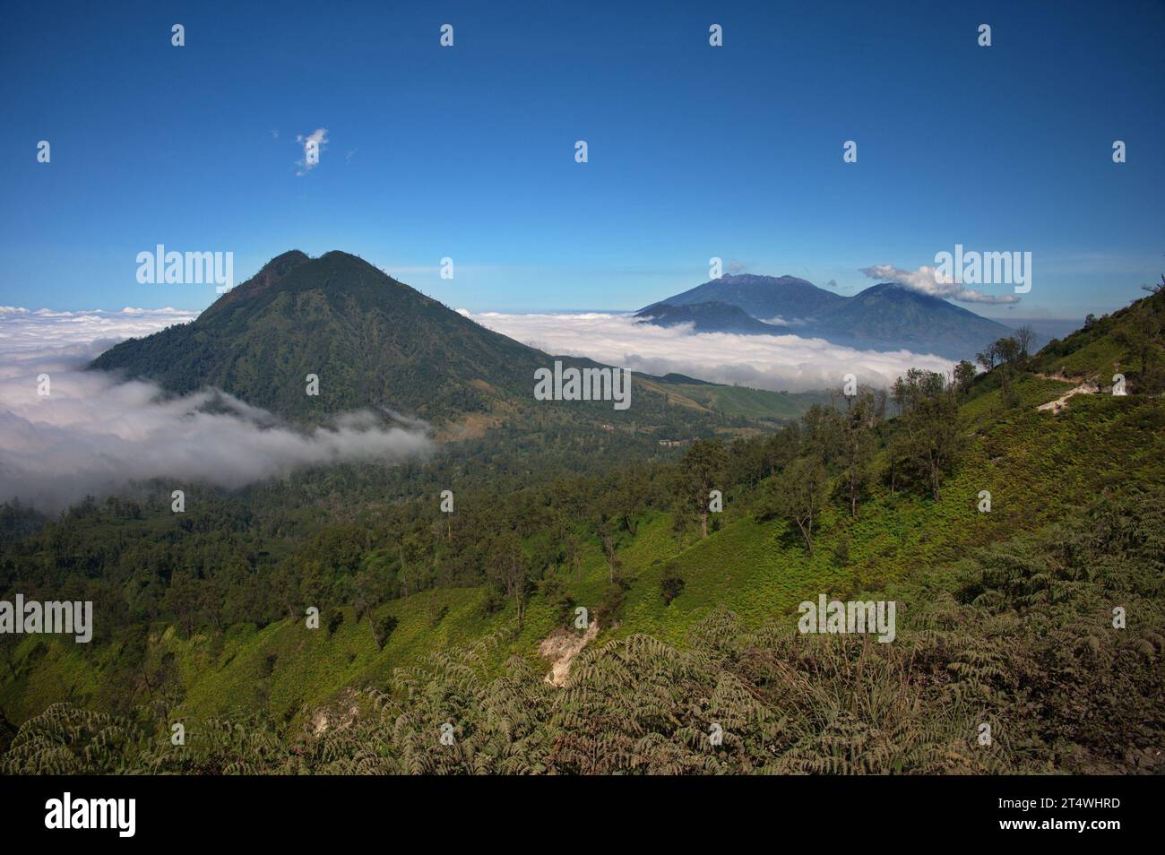 Scenic view from caldera of Ijen volcano, Indonesia Stock Photo