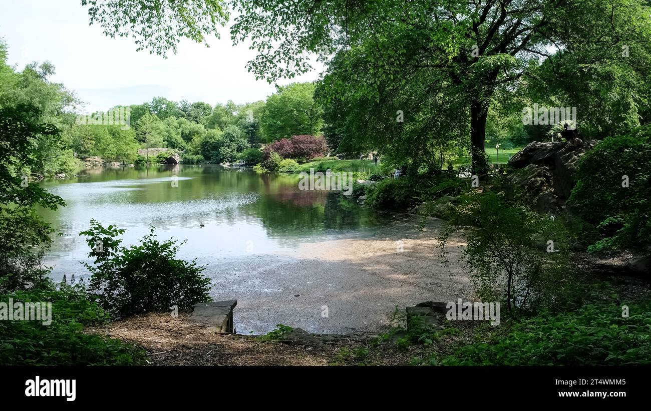 View of the Pond, one of seven bodies of water in Central Park located