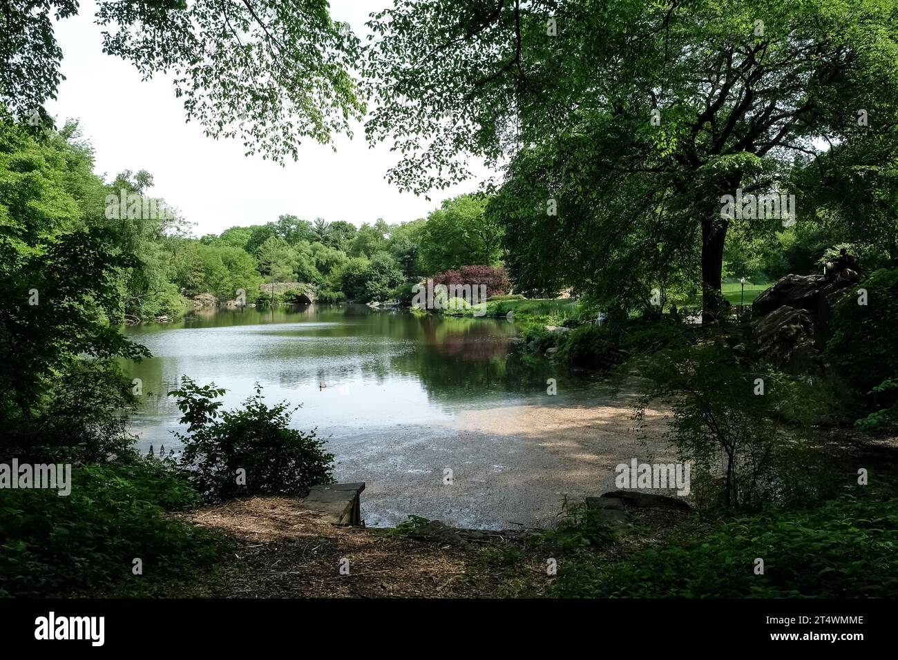 View of the Pond, one of seven bodies of water in Central Park located ...