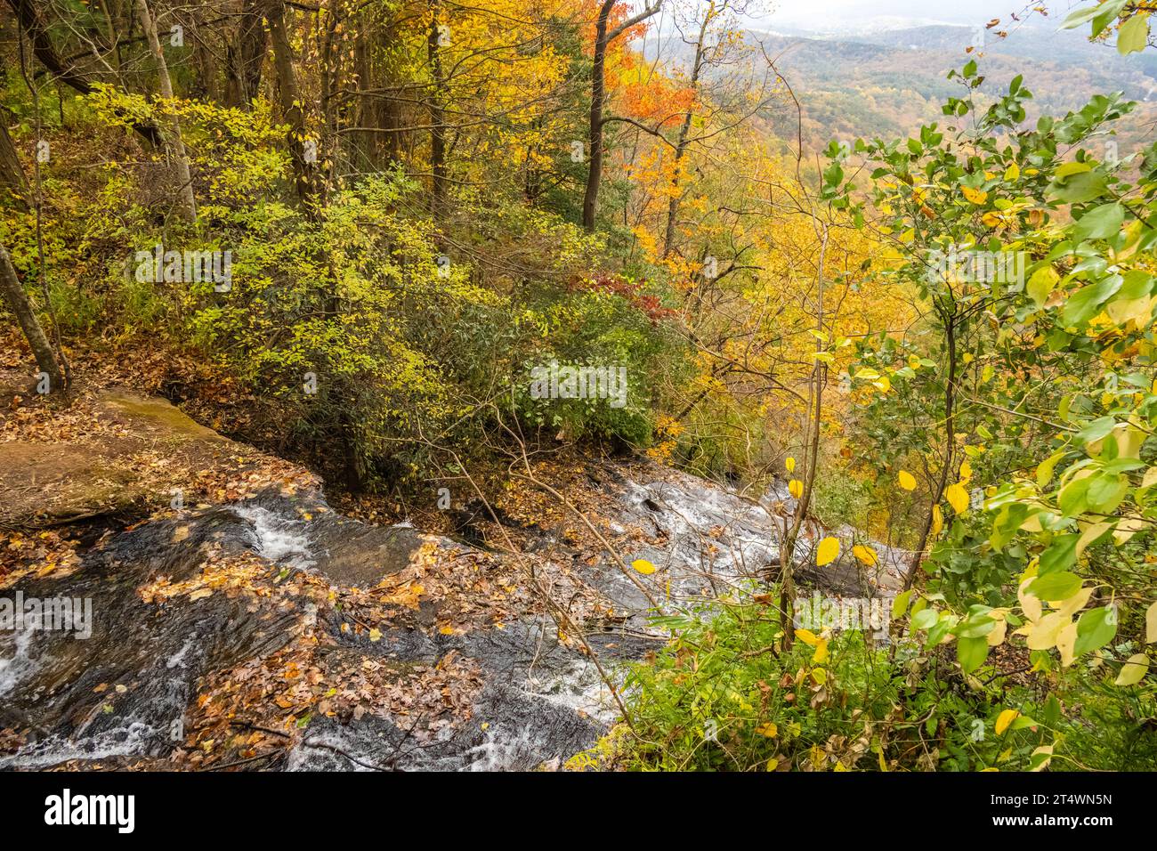 Top of Amicalola Falls with the peak colors of the autumn season at Amicalola Falls State Park in Dawsonville, Georgia. (USA) Stock Photo