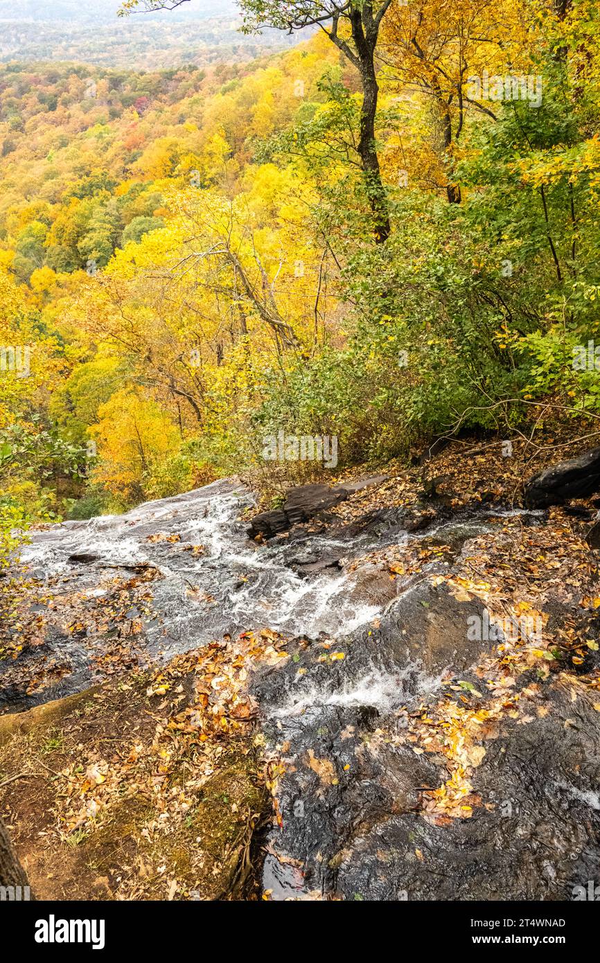 Top of Amicalola Falls with the peak colors of the autumn season at Amicalola Falls State Park in Dawsonville, Georgia. (USA) Stock Photo