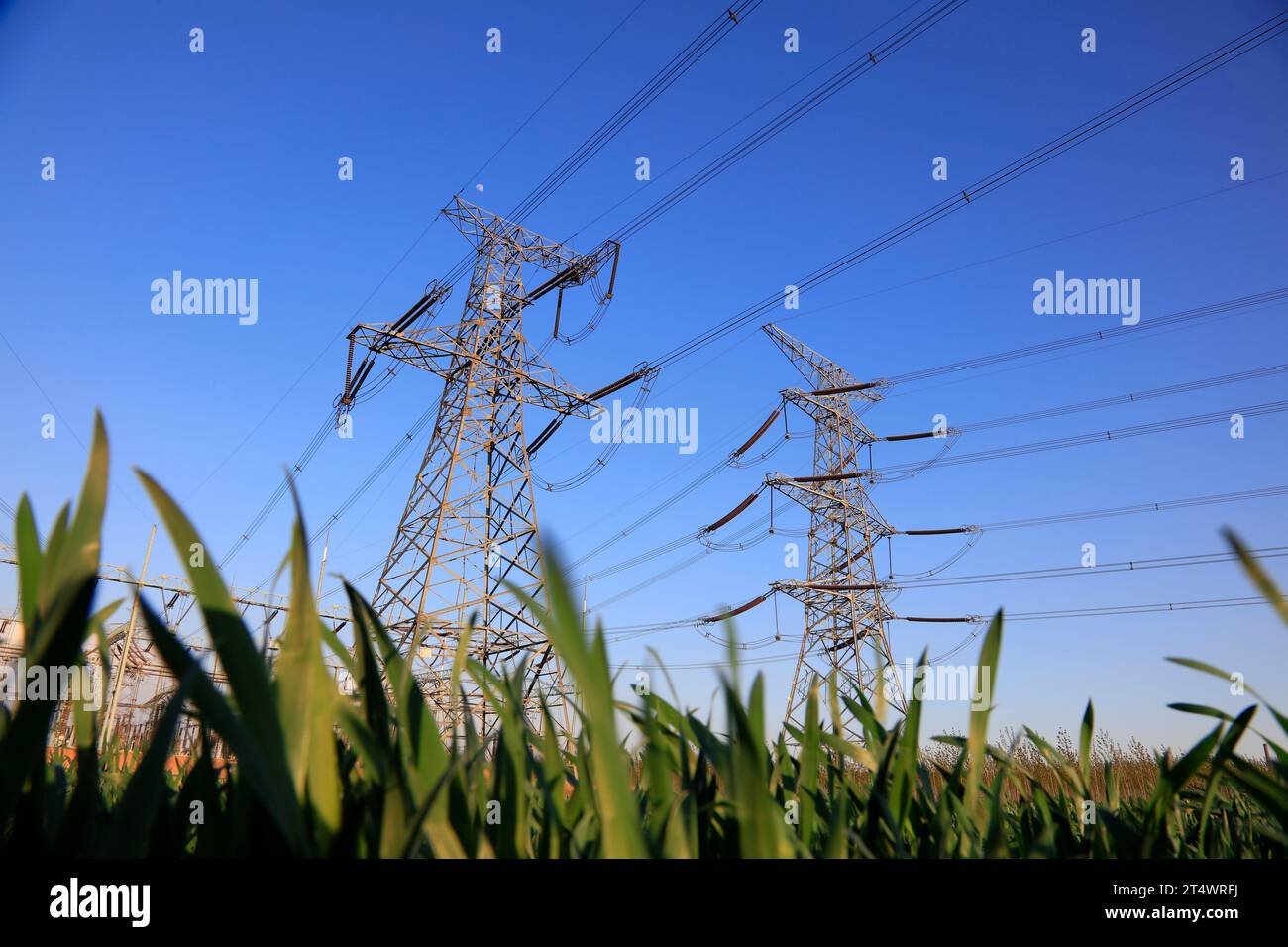 high voltage electric power steel tower, closeup of photo Stock Photo ...