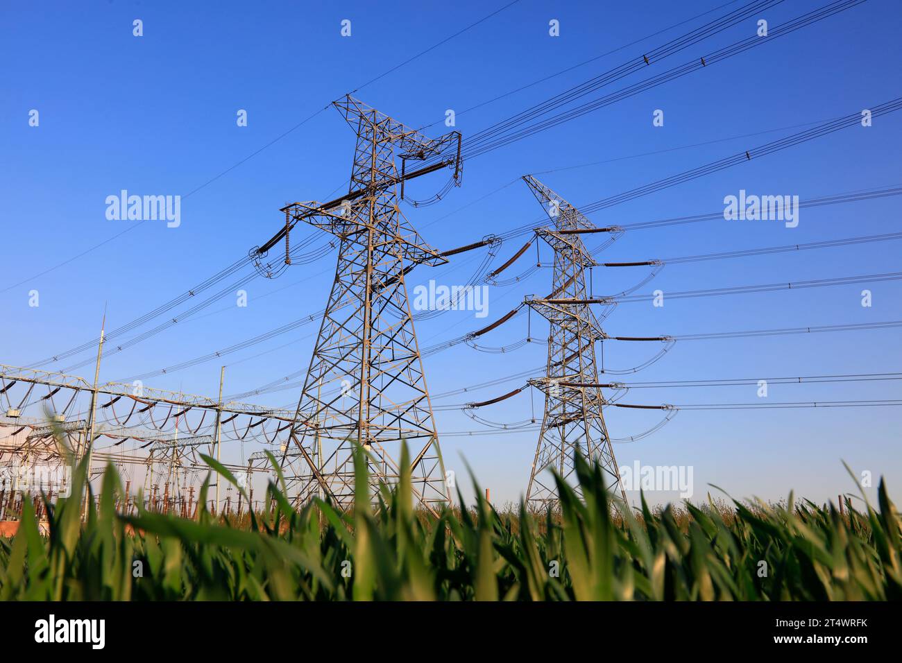 high voltage electric power steel tower, closeup of photo Stock Photo ...