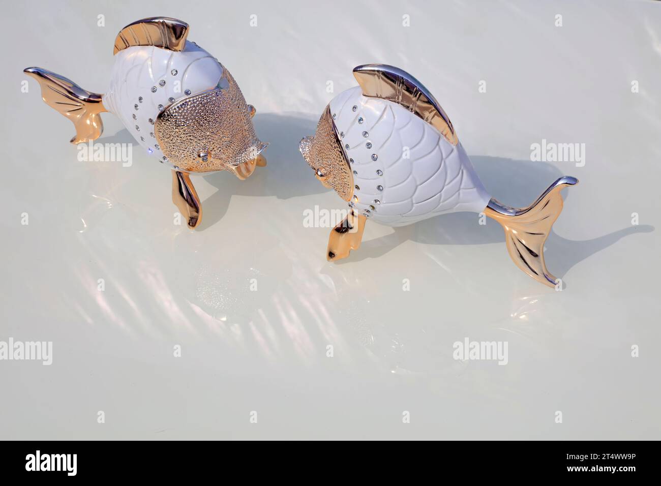 Goldfish decorations, Close-up photos Stock Photo - Alamy - Beautiful Goldfish Aquarium Decorations