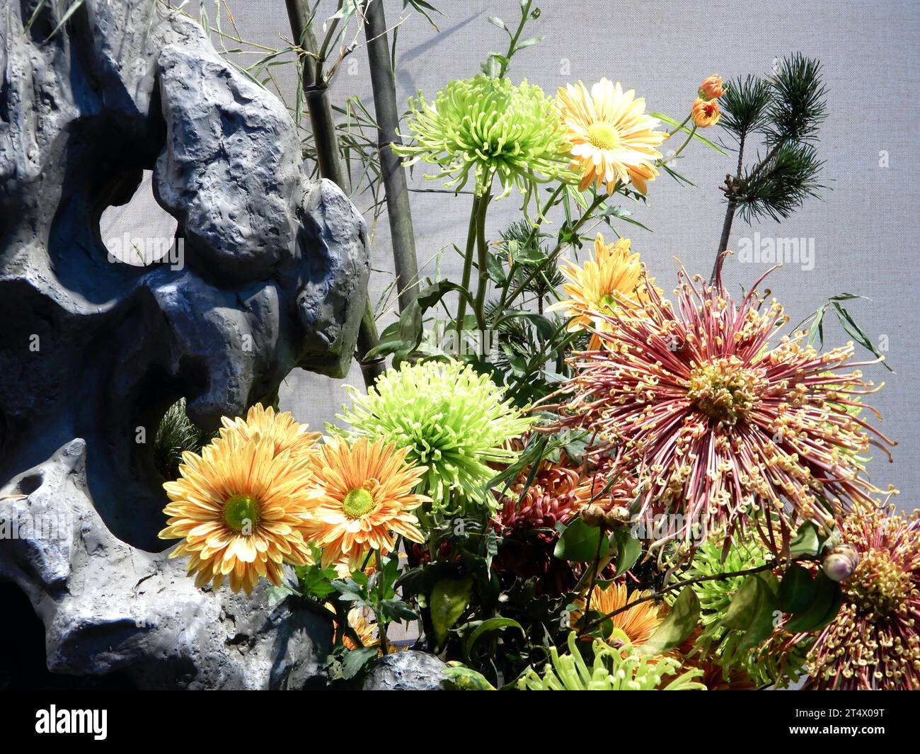 Visit the 44th Chrysanthemum Exhibition of Beihai Park in Beijing, China, 31 October, 2023. Stock Photo