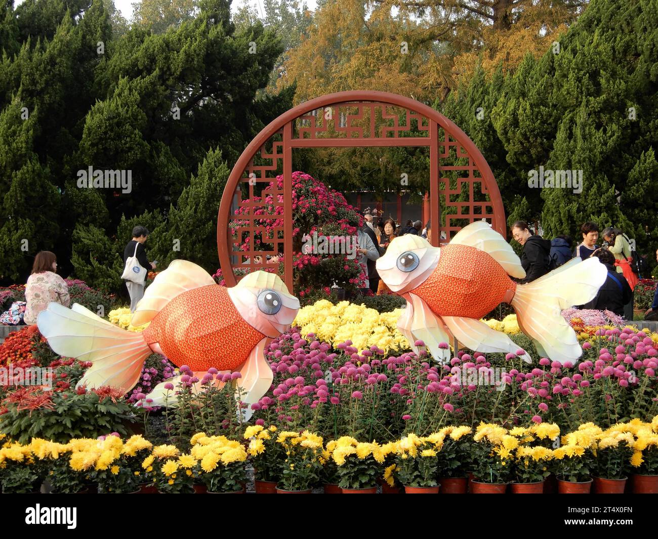 Visit the 44th Chrysanthemum Exhibition of Beihai Park in Beijing, China, 31 October, 2023. Stock Photo