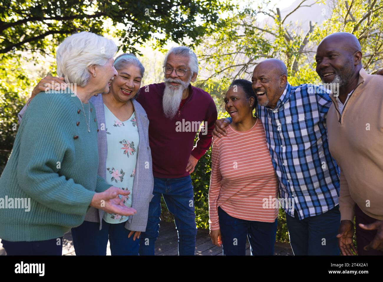 Happy diverse group of senior friends embracing and laughing in sunny ...