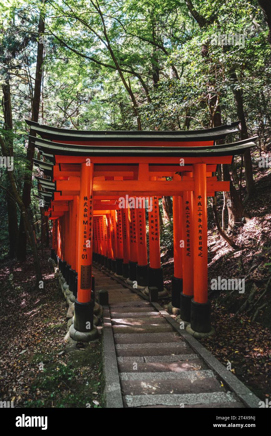 An idyllic scene of a red wooden Tori gate standing in the middle of a ...
