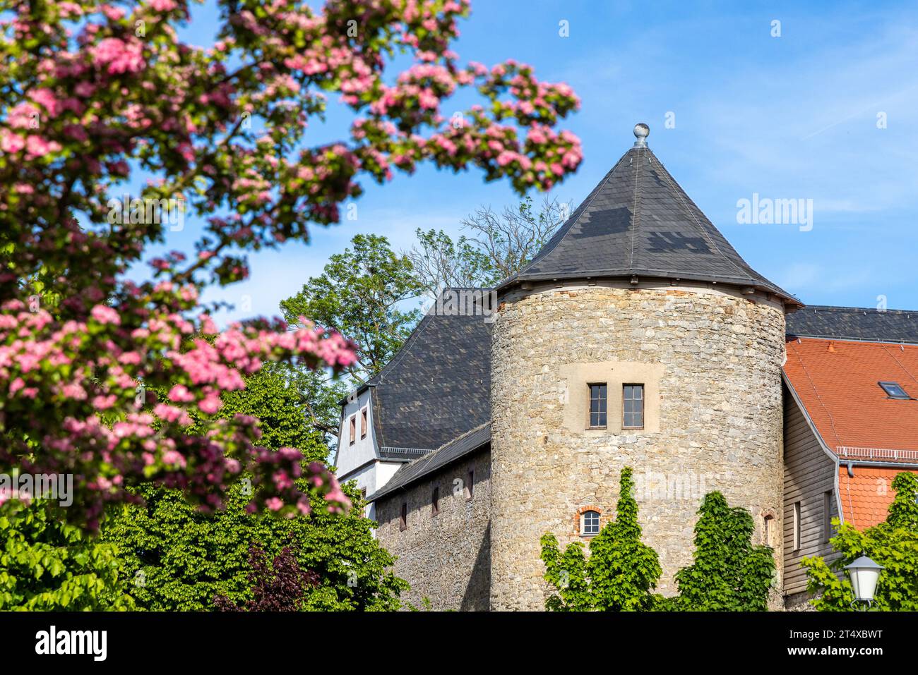 Harzgerode Schloss Harzgerode Harz Stock Photo - Alamy