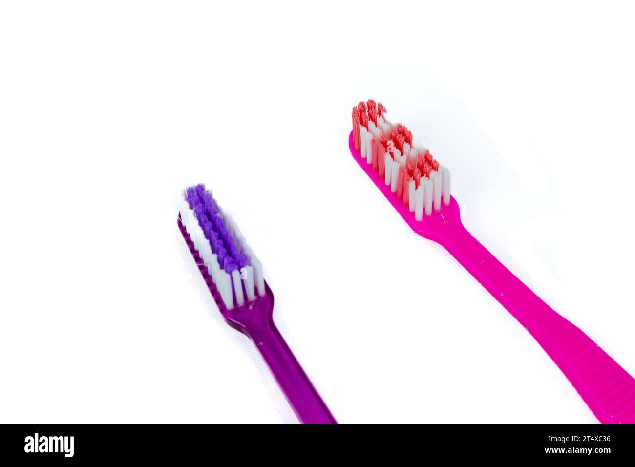 Tooth brush isolated on a white background Stock Photo