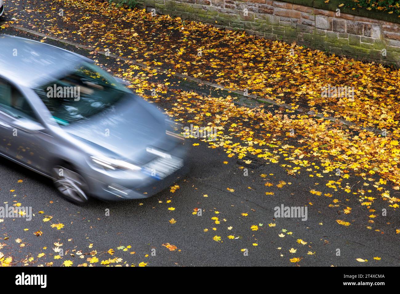 car driving over a rain wet road covered with wet autumn leaves, North Rhine-Westphalia, Germany Auto faehrt ueber eine regennasse Strasse bedeckt mit Stock Photo