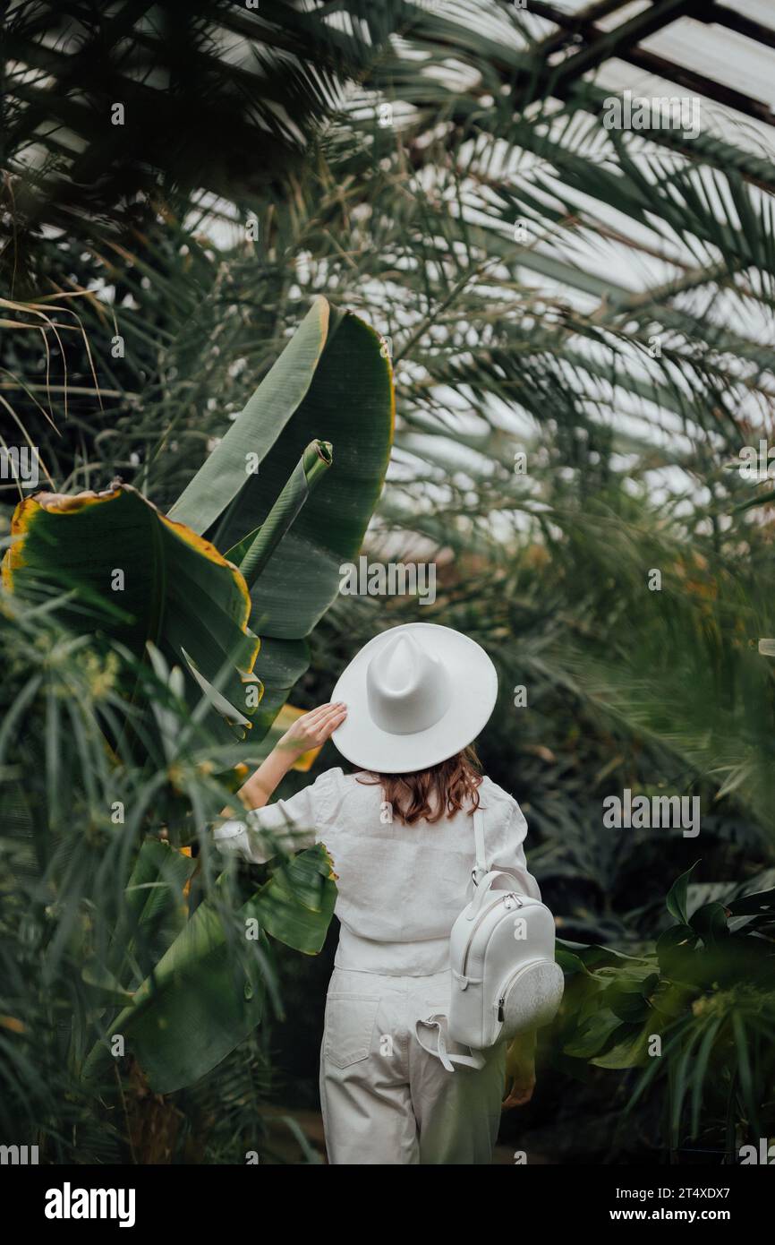 Back view of woman botanist dressed in safari style standing in palm greenhouse of botanical garden Stock Photo