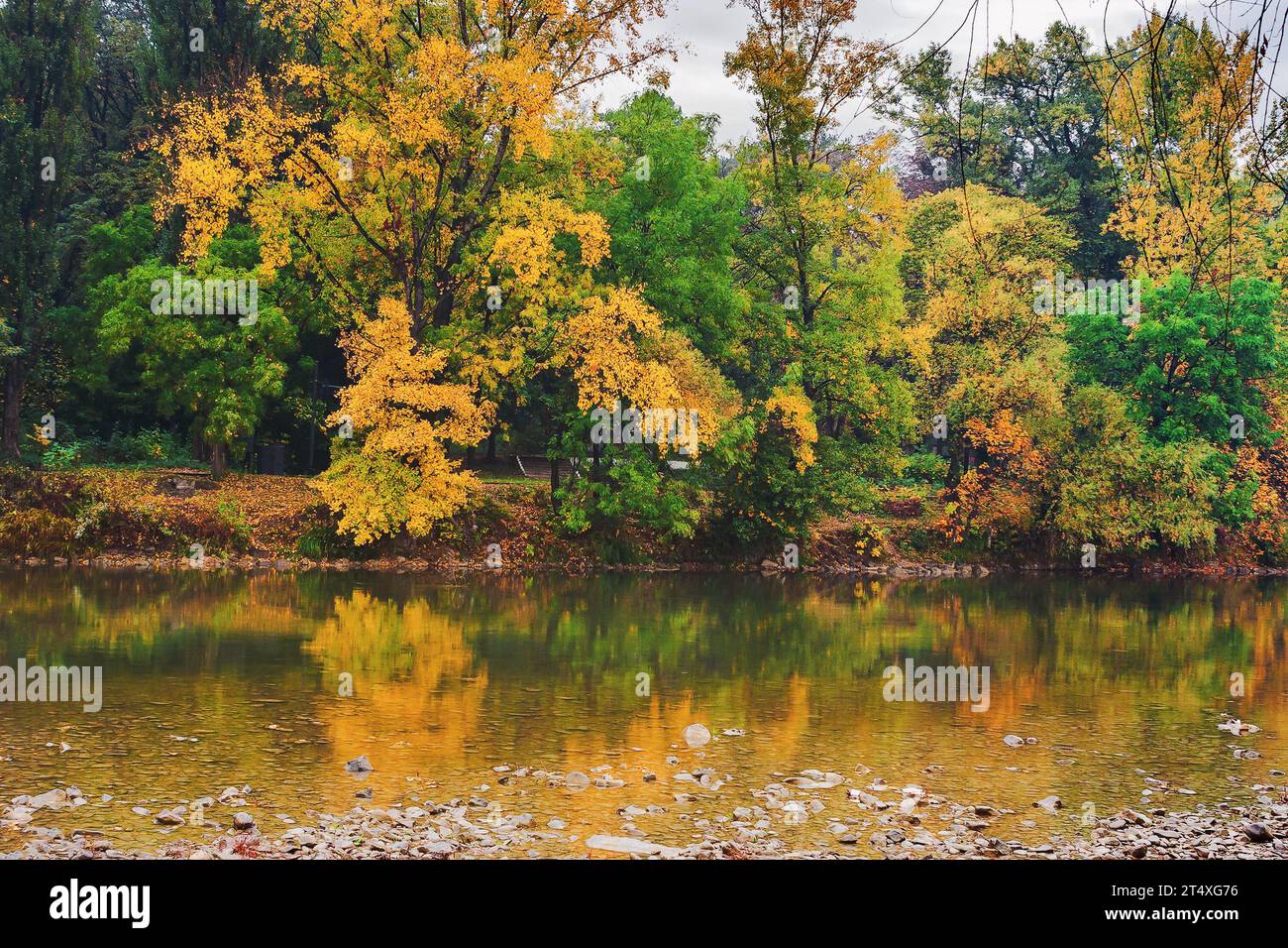 trees in colorful foliage reflecting in water. autumnal nature background on an overcast day Stock Photo