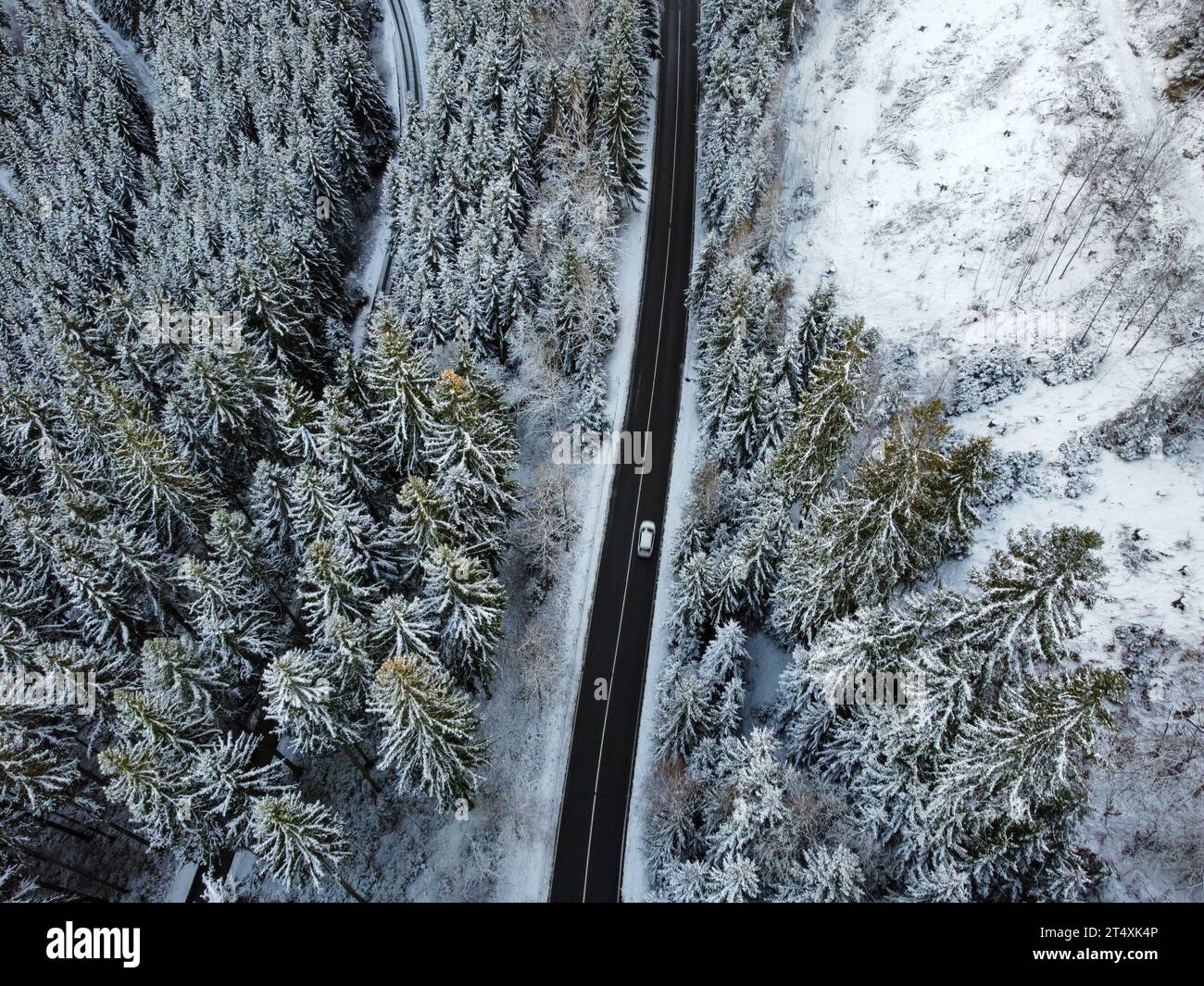 Aerial view snowy woods forest hi-res stock photography and images - Alamy