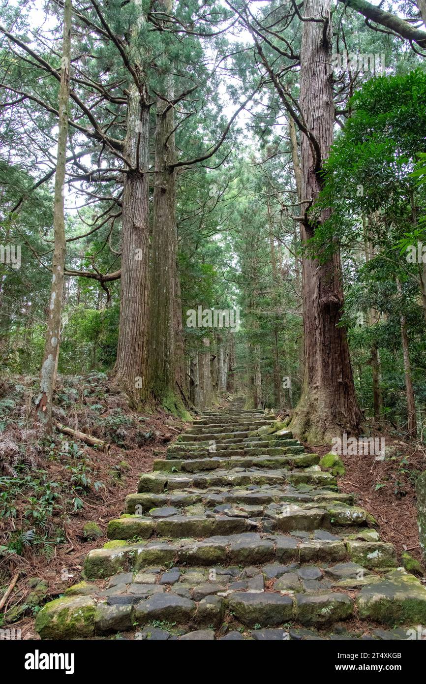 Daimon-zaka cobblestone staircase slope to Kumano Nachi Taisha, Seiganto-ji Temple and Nachi waterfall, Nachisan, Japan, on Kumano Kodo pilgrimage rou Stock Photo