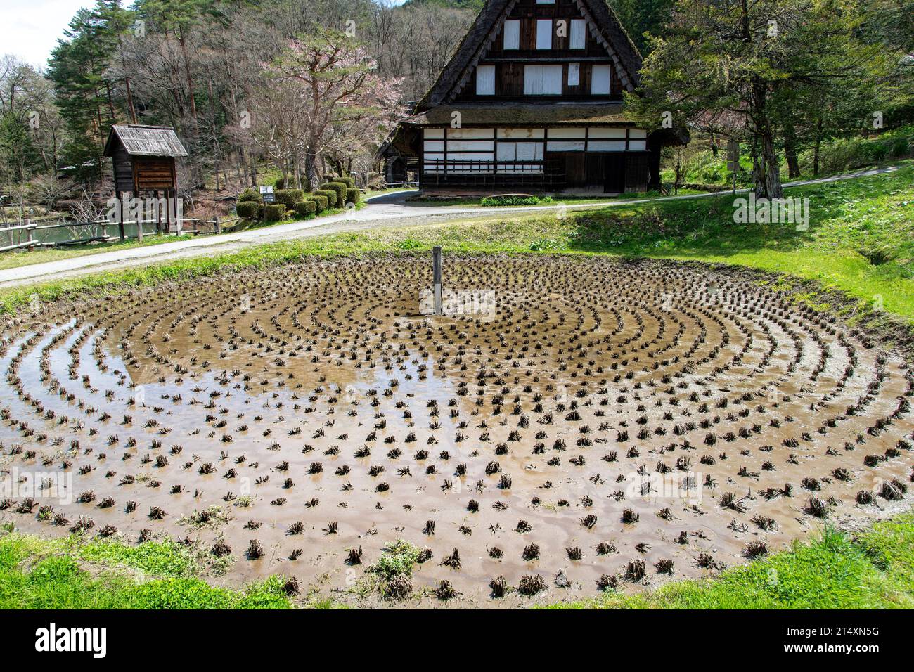 Edo Rice Fields Takayama, Gifu, Japan-April 19, 2023; Kurumada or wheel-shaped rice ...