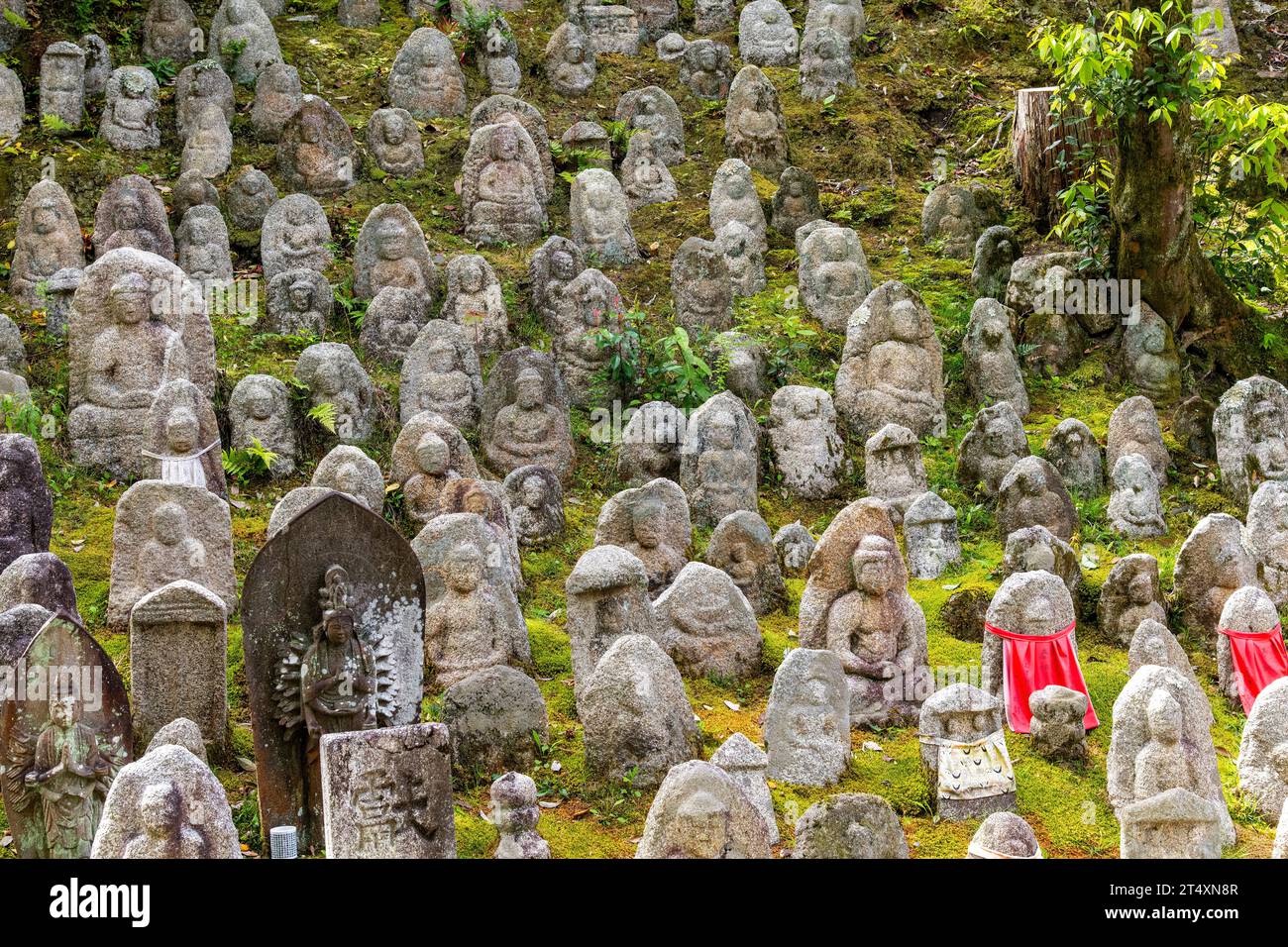 Kyoto, Japan-October 5, 2023; Green hill filled with Kiyomizu-dera Sentai Sekibutsugun (Thousand Stone Buddhas) outside of the Kiyomizu-dera or Buddhi Stock Photo