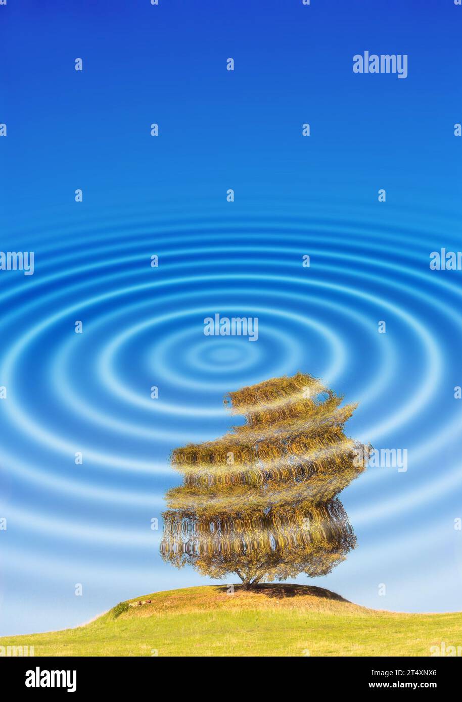 CGI ripple effect of nature scene with white reflection of circle