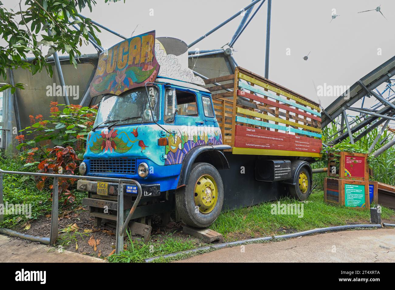 A sugar lorry or truck inside the Rainforest Biome at the Eden Project, a visitor attraction near St Austell, Cornwall, England, United Kingdom UK Stock Photo