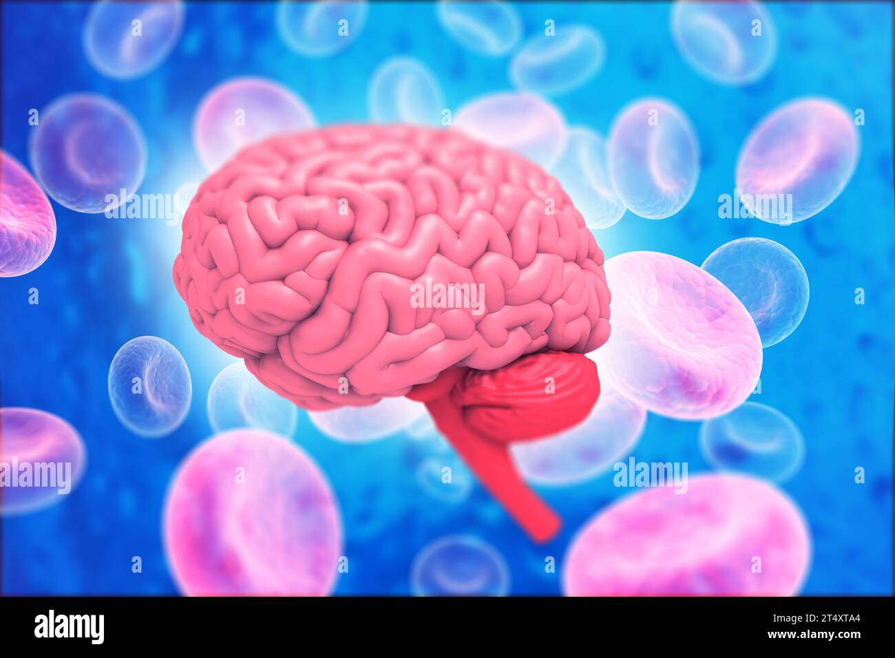 Human brain anatomy with science background. 3d illustration Stock