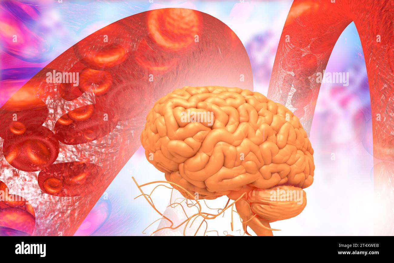 Human brain with blood stream. 3d illustration Stock Photo