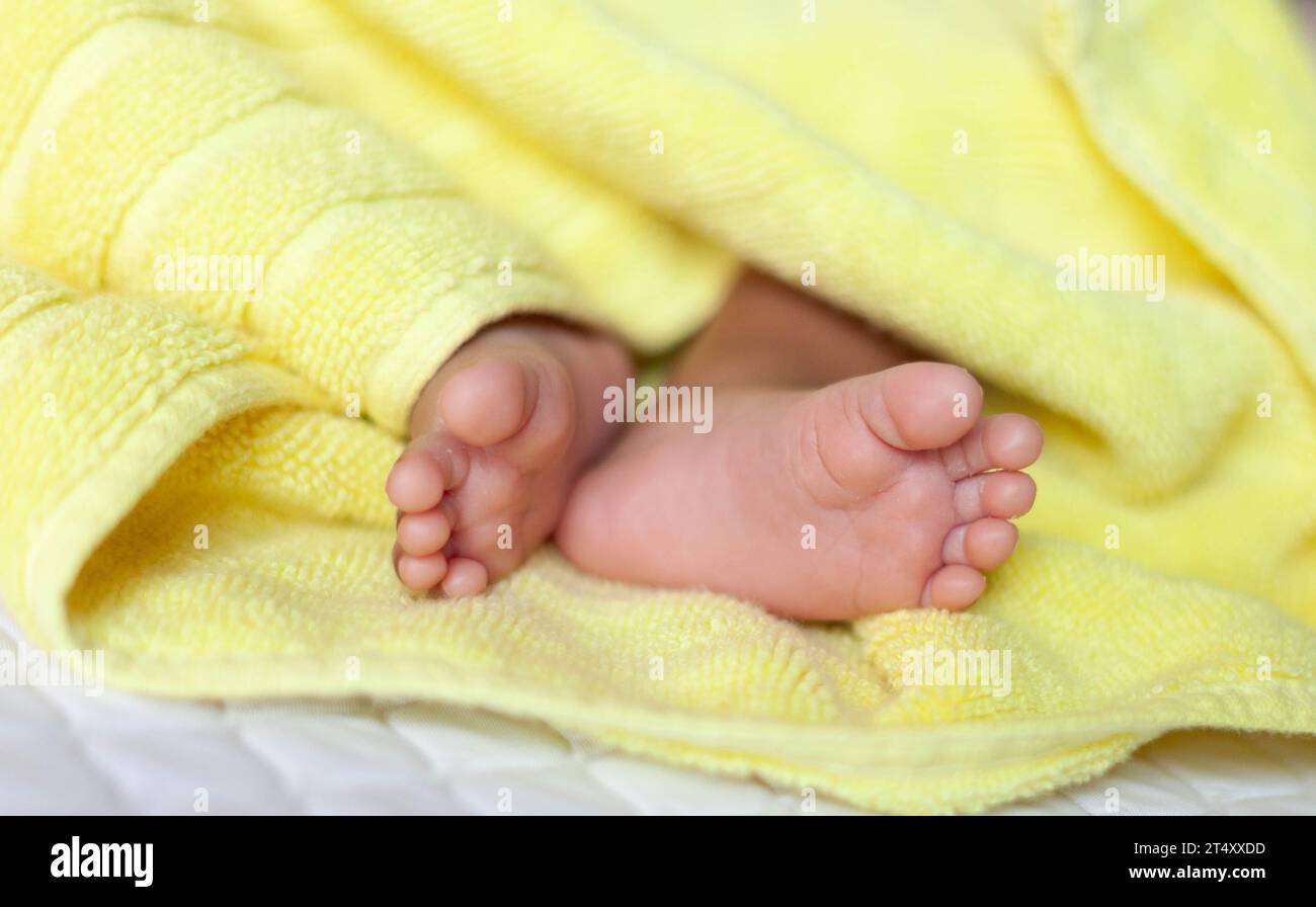 A close-up of tiny baby feet Stock Photo - Alamy