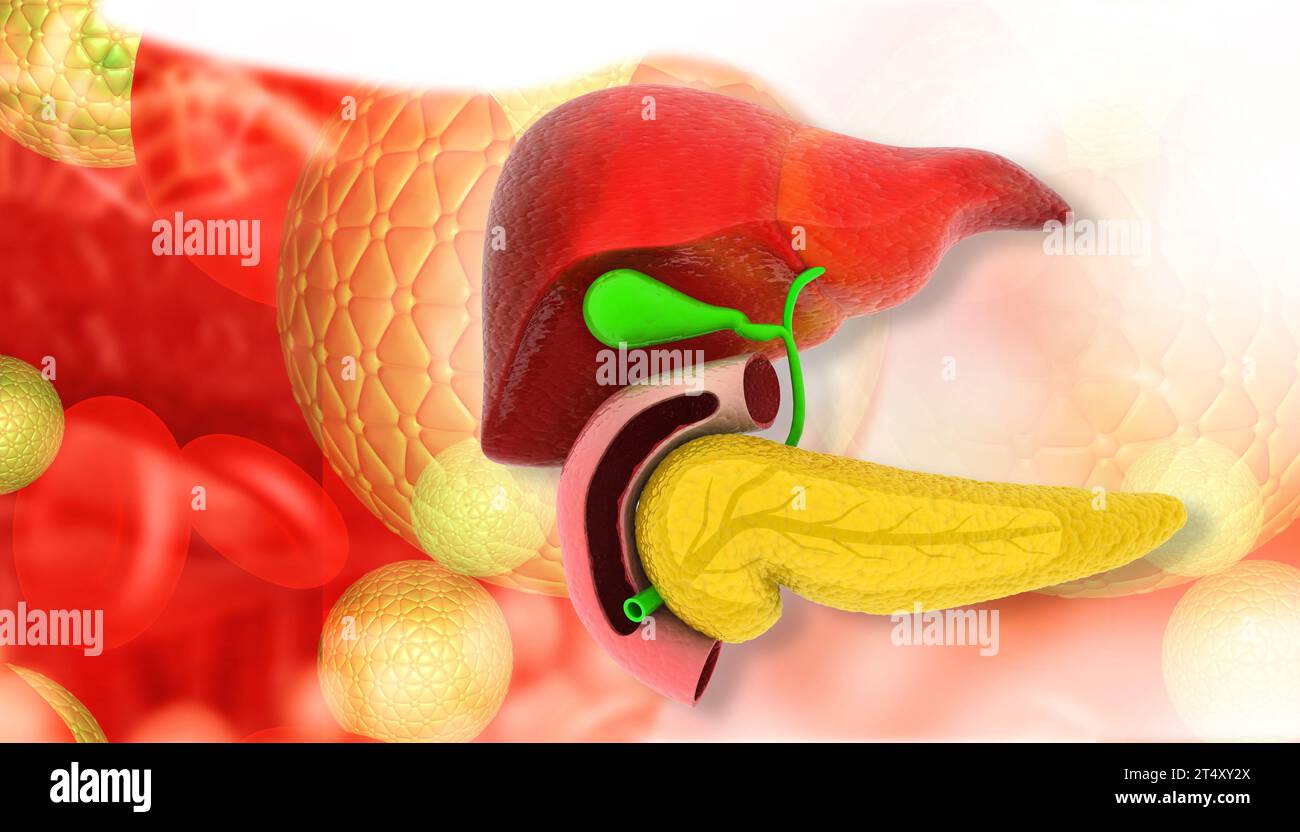 Human Liver Science Background 3d Illustration Stock Photo Alamy human-liver-science-background-3d-illustration-stock-photo-alamy