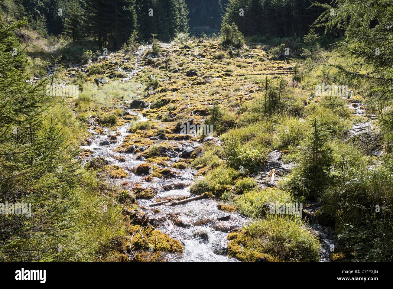 Source, Rauris, Pinzgau, Salzburger Land, Austria Stock Photo