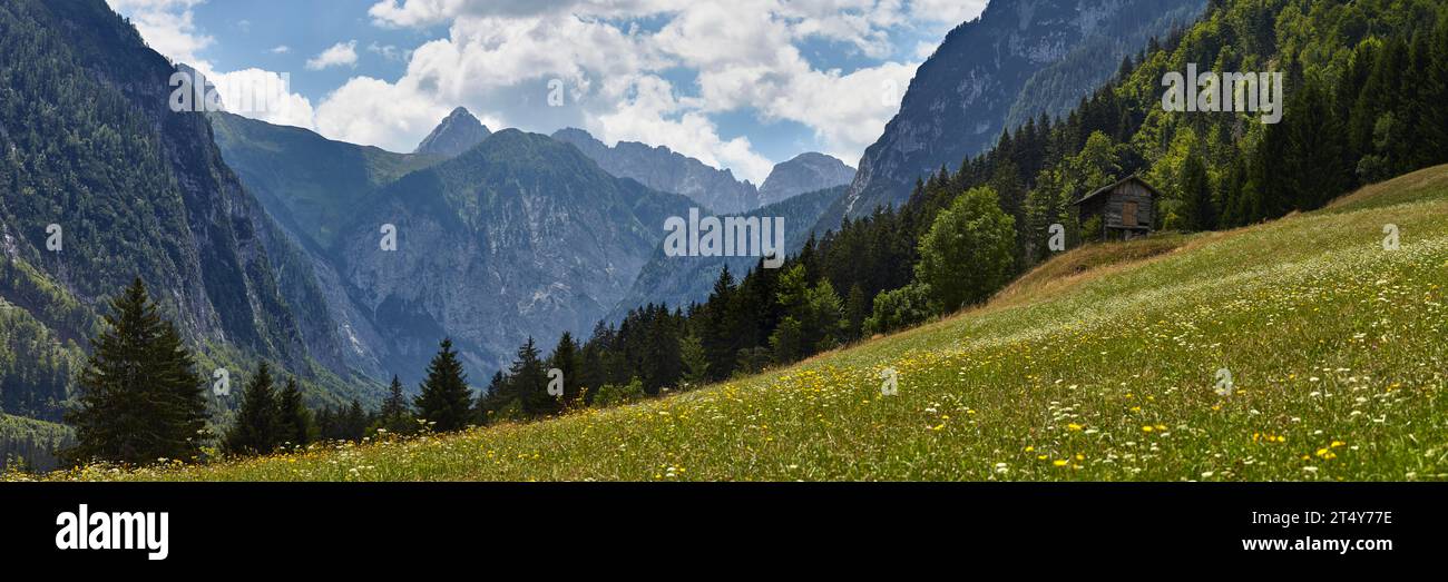Meadow near Nostra, Carnic Alps, Lesachtal, Carinthia, Austria Stock Photo