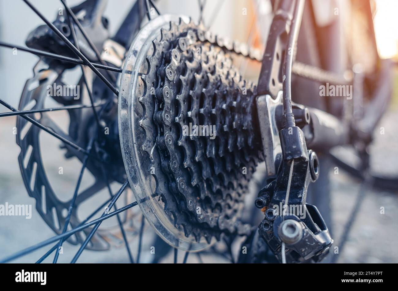 Bicycle sprocket on the rear wheel of the bike Stock Photo Alamy