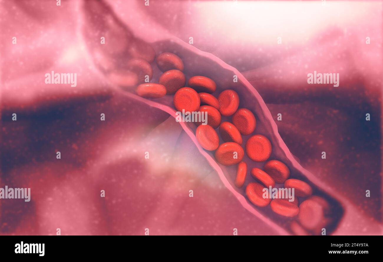White blood cells flowing on hi-res stock photography and images - Alamy