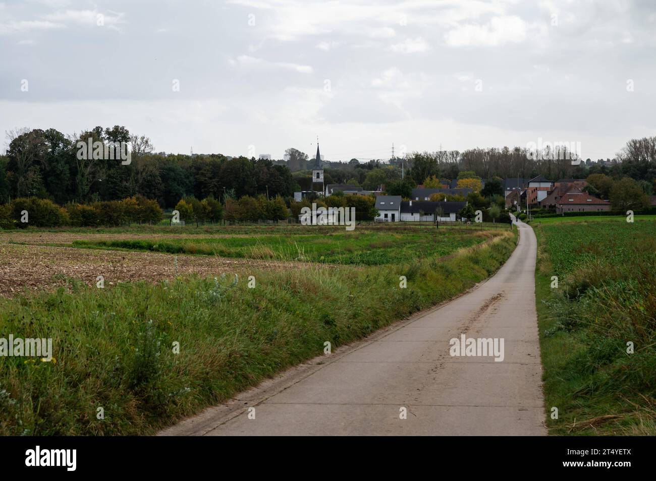 Country road through the agriculture fields at the village Ossel, Flemish Brabant, Belgium Credit: Imago/Alamy Live News Stock Photo