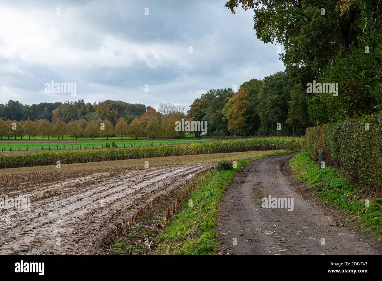 Harvested agriculture field and dirty walking path at the Pajottenland, Lennik, Belgium Credit: Imago/Alamy Live News Stock Photo