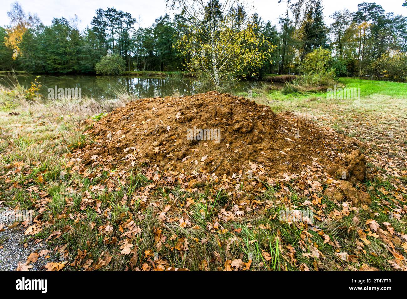 Carp ponds are standing bodies of water created by humans. To maintain