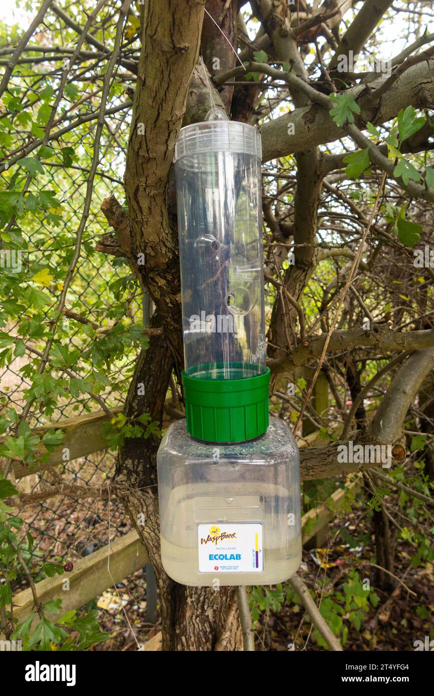 Waspbane Ecolab chemical free wasp trap designed to trap large numbers of wasps safely. (136