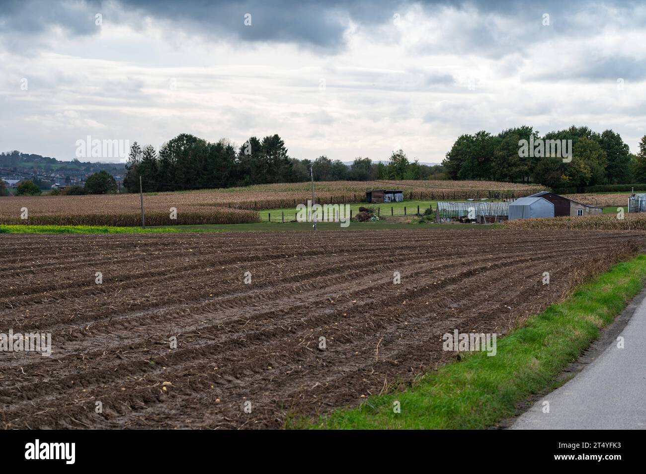 Landscape view over harvested agriculture fields of corn at the Flemish countryside around Roosdaal, Brabant, Belgium Credit: Imago/Alamy Live News Stock Photo
