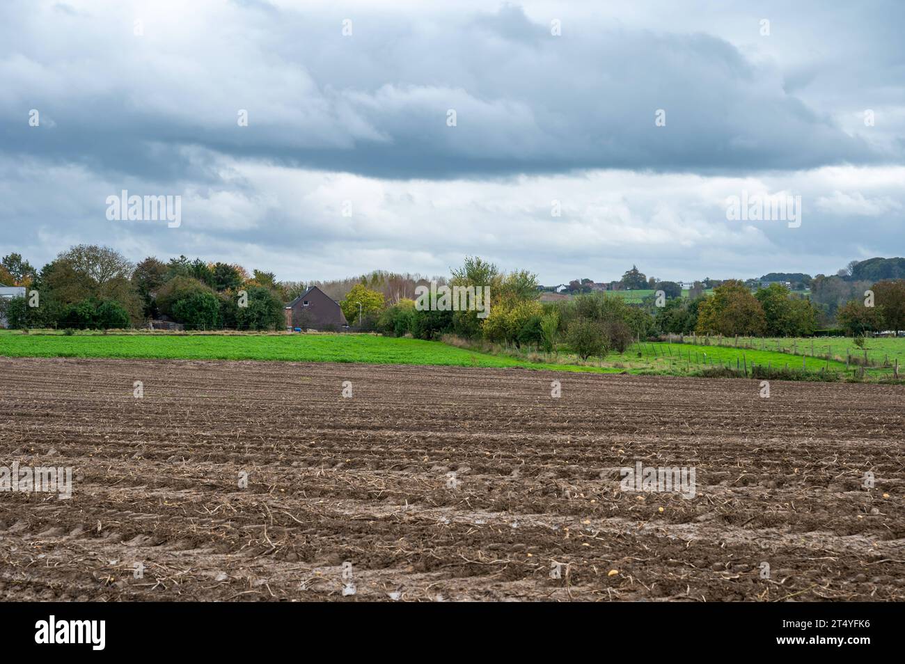Landscape view over harvested agriculture fields of corn at the Flemish countryside around Roosdaal, Brabant, Belgium Credit: Imago/Alamy Live News Stock Photo