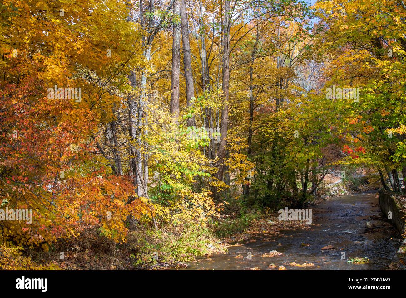 Fall colors in the Blue Ridge Mountains Stock Photo - Alamy
