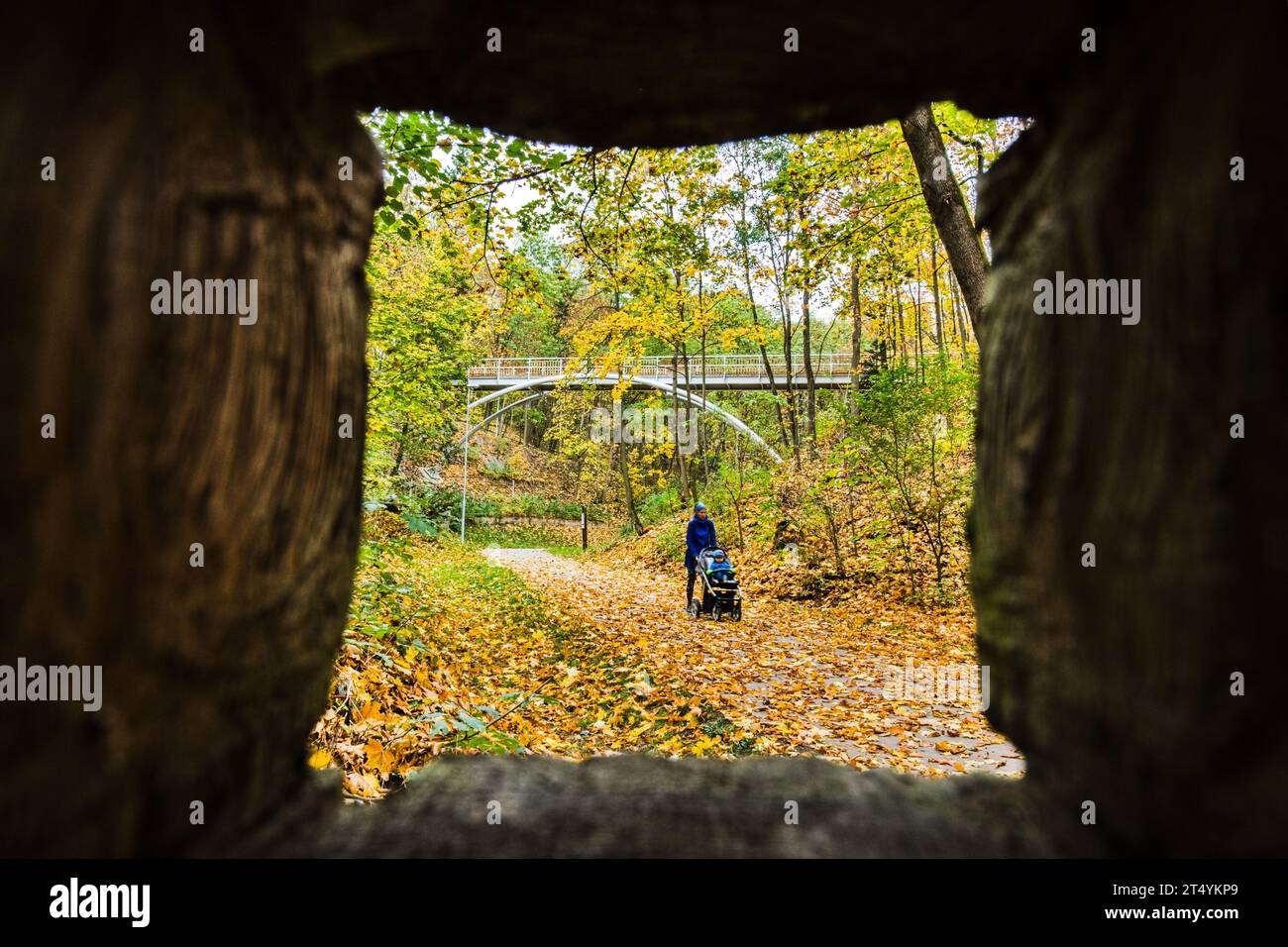 Brno, Czech Republic. 02nd Nov, 2023. Autumn atmosphere at the Certova rokle Forest Park in Brno
