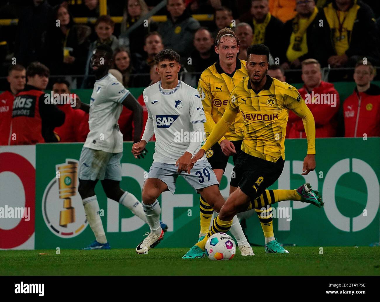 Dortmund, Deutschland. 01st Nov, 2023. November 1st, 2023, Signal Iduna Dortmund, Deutschland. 01st Nov, 2023. November 1st, 2023, Signal Iduna