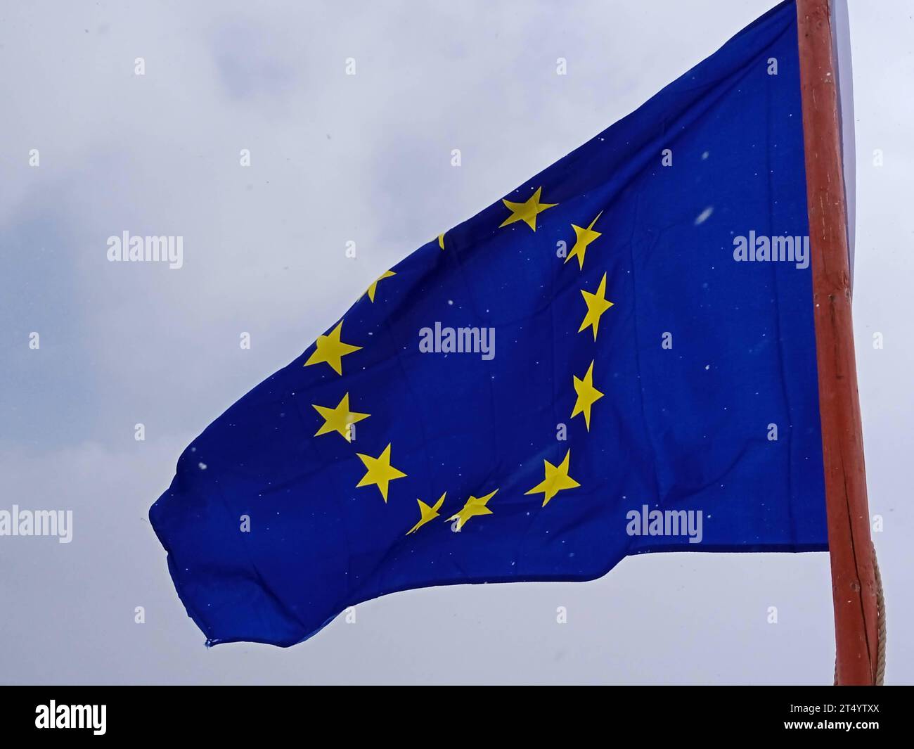 European Union flag, blue flag with yellow stars representing the EU ...