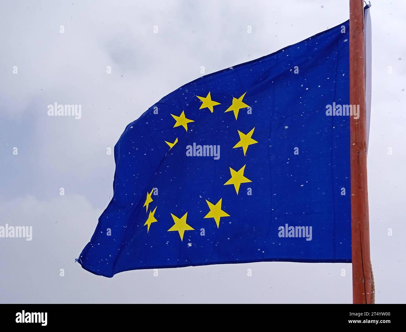 European Union flag, blue flag with yellow stars representing the EU ...
