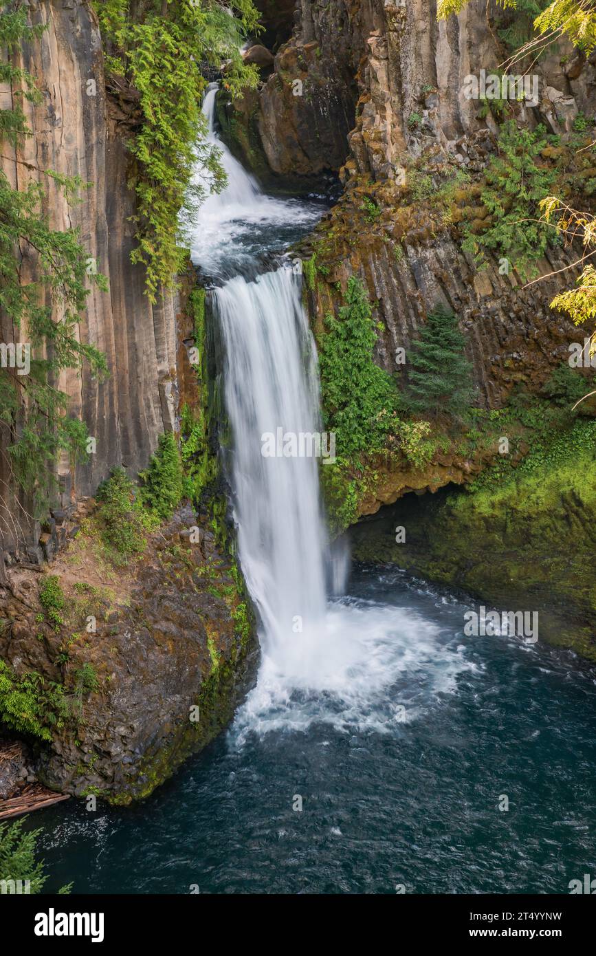 Toketee Falls, on North Umpqua River, Umpqua National Forest, Cascade Range, Oregon, USA Stock Photo
