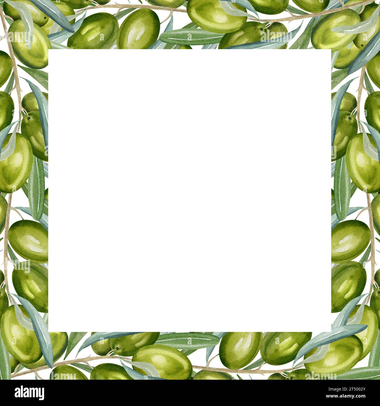 watercolor square frame with branch of green olives with leaves and ...
