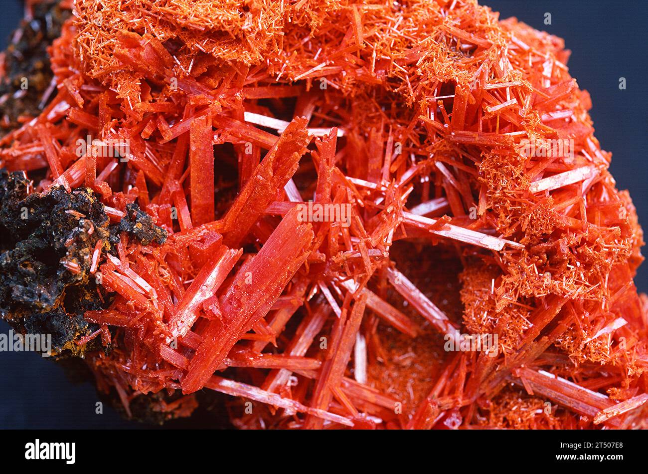 Crocoite is a lead chromate mineral. Crystallized sample Stock Photo