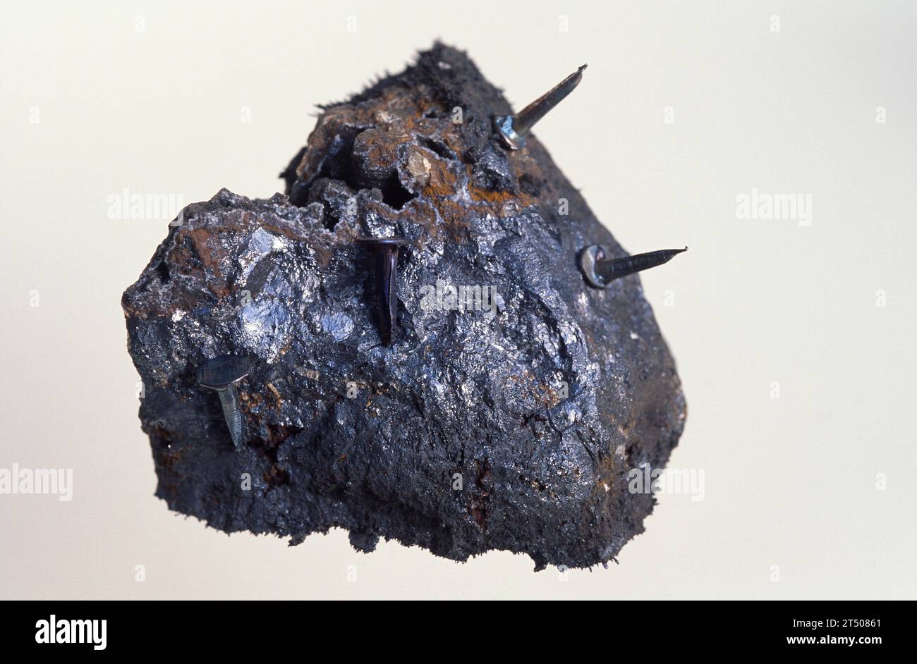 Magnetite is an iron oxide mineral with magnetic properties. Sample attracting nails. Stock Photo