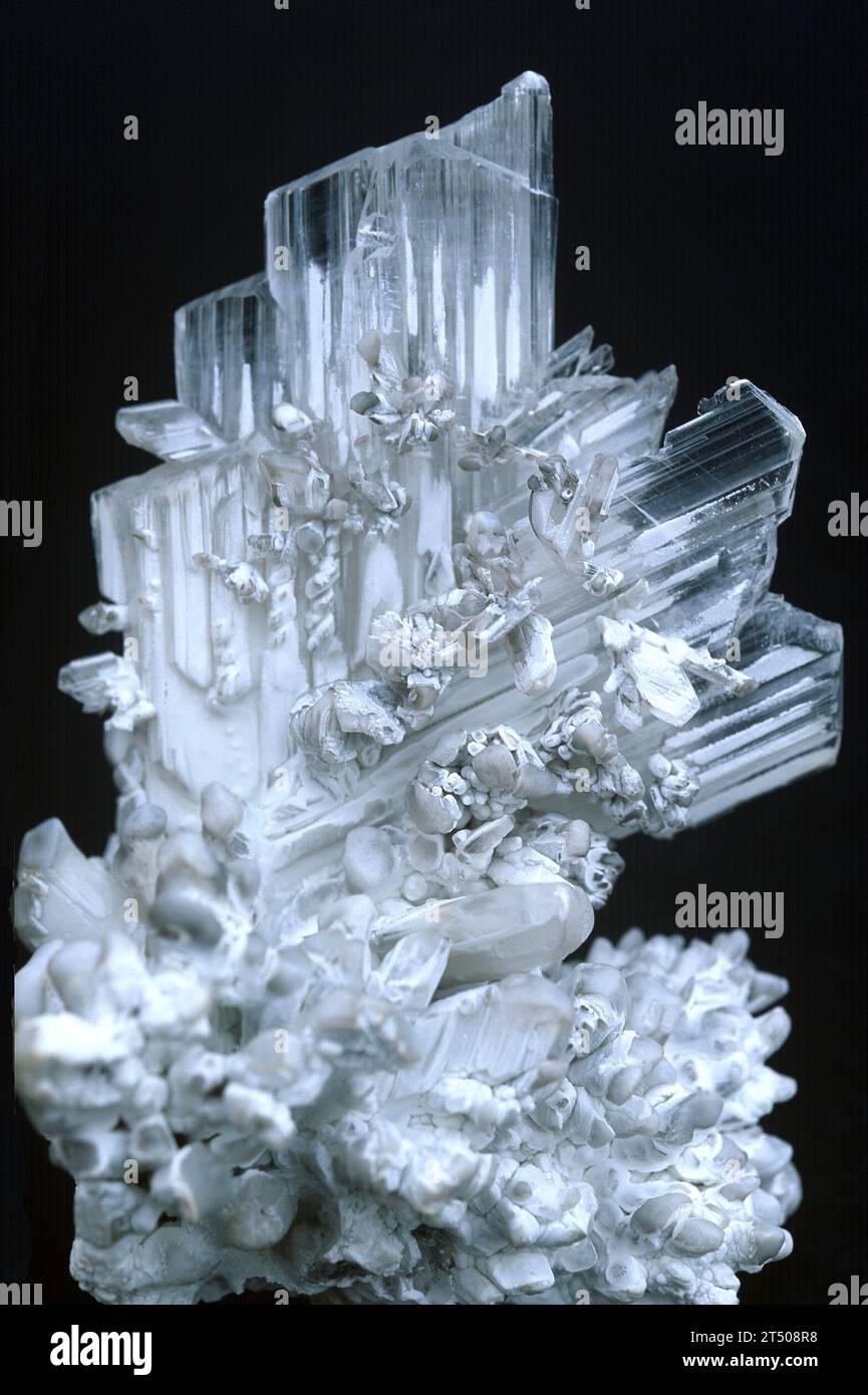 Selenite is a transparent variety of gypsum. Gypsum is an hydrous calcium sulfate mineral. Crystallized sample. Stock Photo
